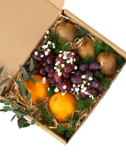 Vita Fruit Box (M)