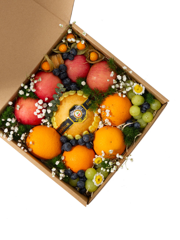 Luna Fruit Box (L)