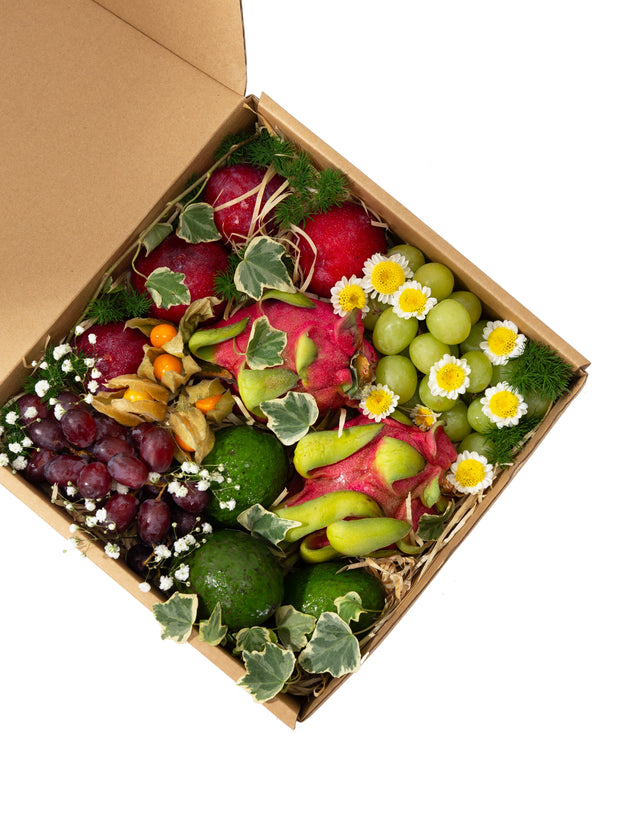 Sage Fruit Box (L)