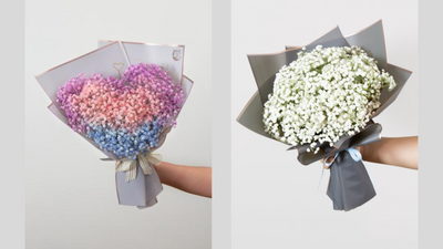 Baby’s Breath Flowers: History and Meaning Behind Them