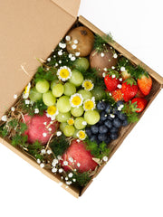 Eden Fruit Box (M)