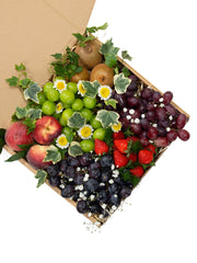 Vineyard Harvest Fruit Box (L)