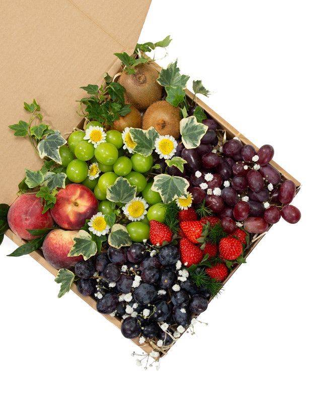 Vineyard Harvest Fruit Box (L)