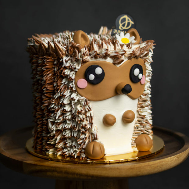 Hedgehog Designer Cake